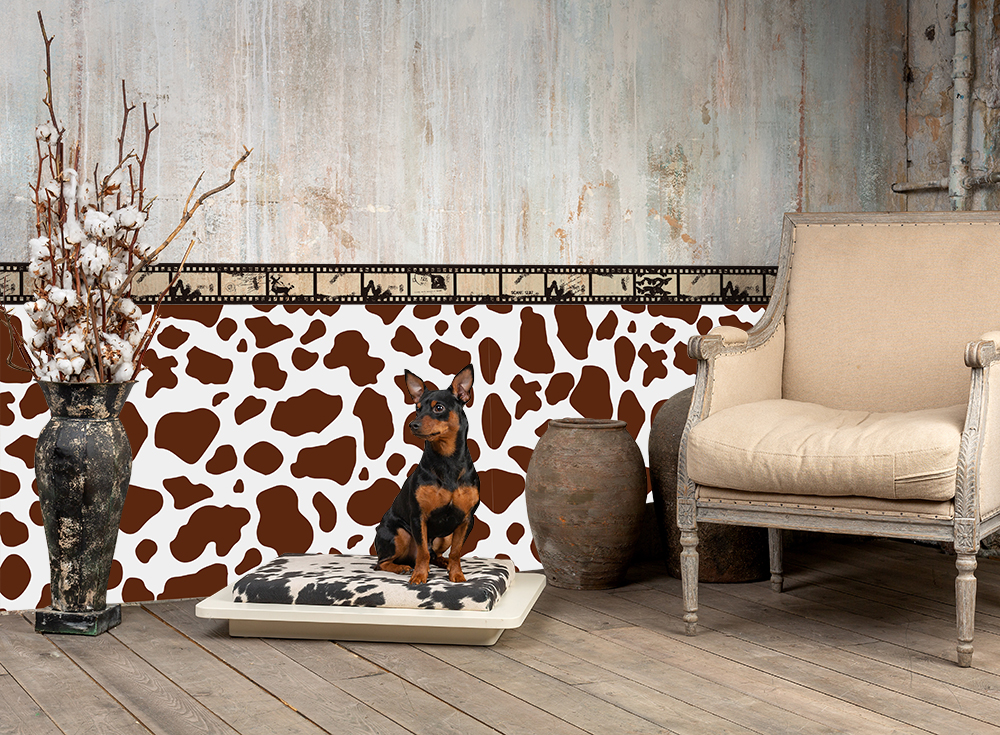 シネマフィルム(OPT-0013)