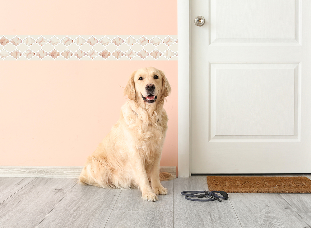 ピンクモロッカン(OPT-0014)