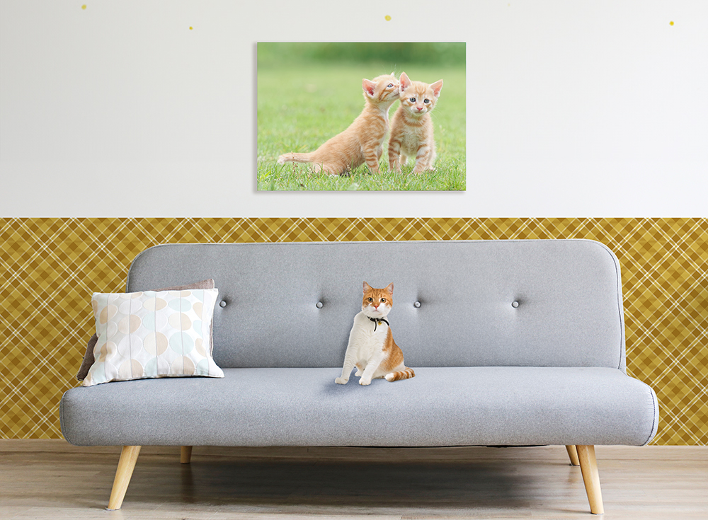 オリジナルクロスボード詳細