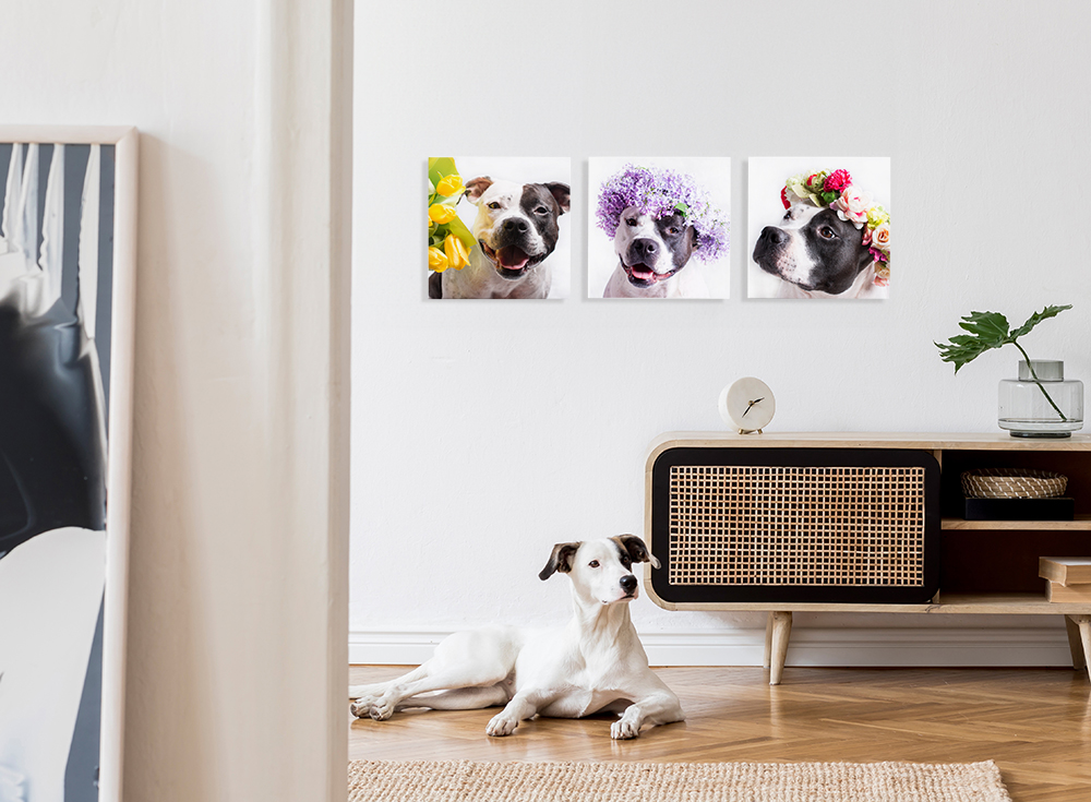 オリジナルクロスボード詳細