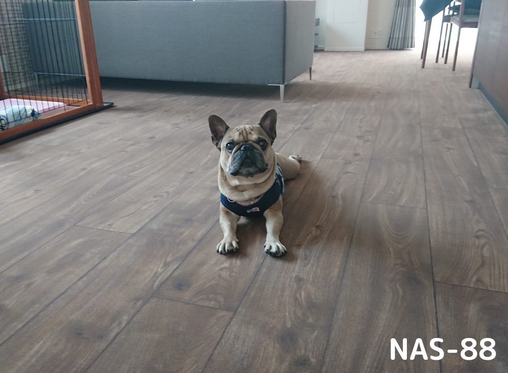 ペット用カーペット詳細