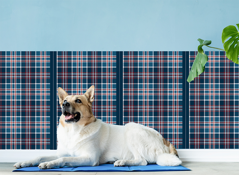 TARTAN01(OPHP-0025)詳細