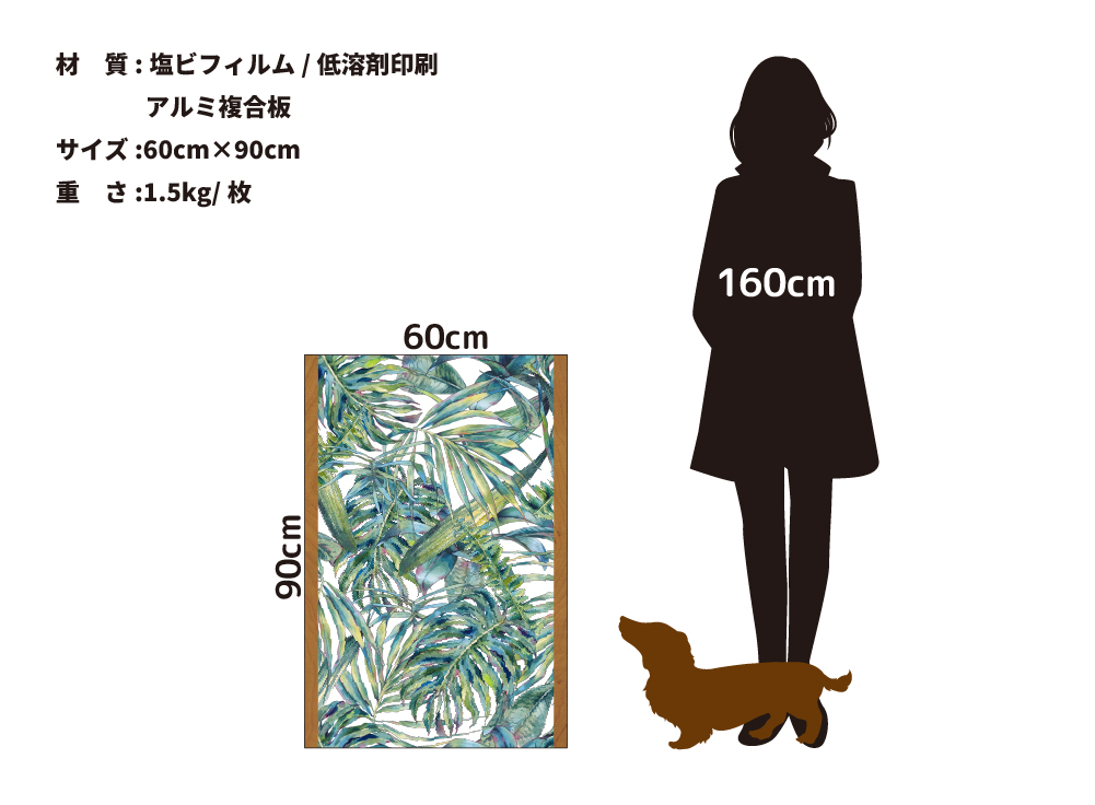 Foresta(OPHP-0013)詳細