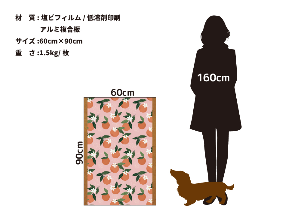 休息のオレンジ(OPHP-0012)詳細