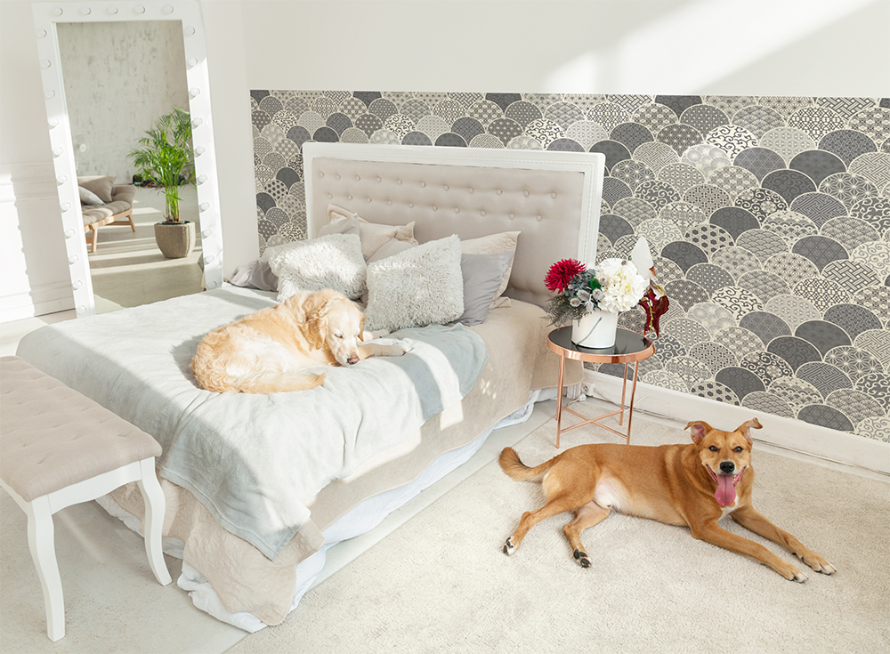 海神-wadatsumi-(OPHS-0022)詳細